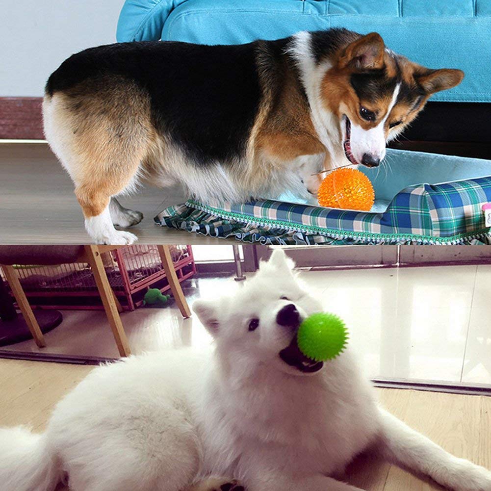 犬の歯ブラシ 噛むおもちゃゴム ボール 小中型犬 音が鳴る トレーニング 51g0FSMcRPL._AC_UL210_SR210,